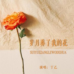 Download track 岁月葬了我的花 (DJ默涵版) Ding Yi