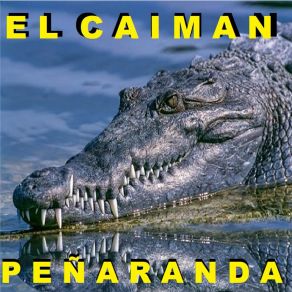 Download track Sebastián Rómpete El Cuero Peñaranda