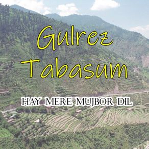 Download track Da Stargow Tora Laag Gulrez Tabasum