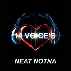 Download track 14 Voice's Neat Notna