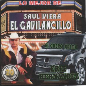 Download track La Barquita Saul Viera 