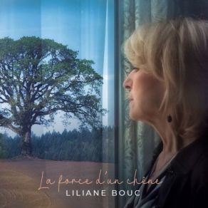 Download track Adagio Pour Partir Liliane Bouc