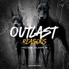 Download track Reasons Alann M