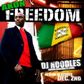 Download track Right Now (Na Na Na) Akon, Dj Noodles