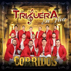 Download track Un Suspiro (En Vivo) Banda Triguera