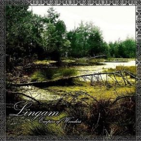 Download track Elegy About Hollow Soul Lingam