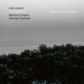 Download track Zen Like Marilyn Crispell, Joe Lovano, Carmen Castaldi