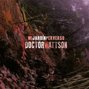 Download track Siete Años Doctor Wattson