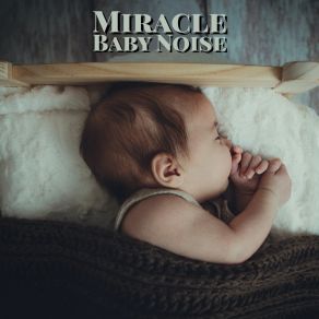 Download track Gentle Night Noise Sleep Miracle