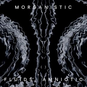 Download track Bellows Morganistic