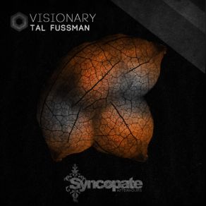 Download track Visionary (Original Mix) Tal Fussman