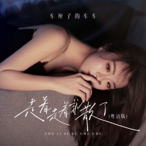 Download track 走着走着就散了 (粤语dj豪大大版伴奏) 车厘子的车车豪大大