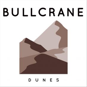 Download track Cool Desert Night Bullcrane