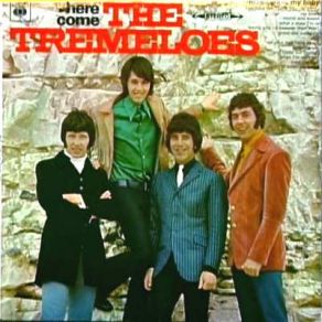 Download track Good Day Sunshine The Tremeloes