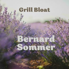 Download track Dover Launched Bernard Sommer