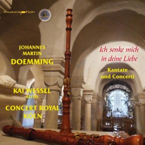 Download track Chamber Concerto In F Major, D-Rh MS 152 III. Allegro Kai Wessel