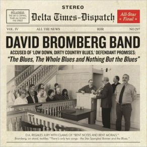 Download track How Come My Dog Don't Bark When You Come 'round David Bromberg, Davidf Bromberg