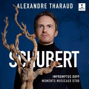 Download track 3.4 Impromptus D899 - No. 3 In G Flat Major Andante Franz Schubert