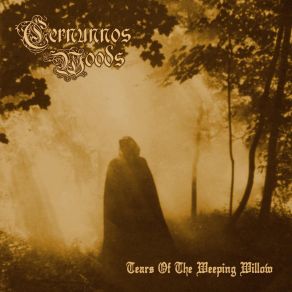 Download track The Imbolc Stag Cernunnos Woods