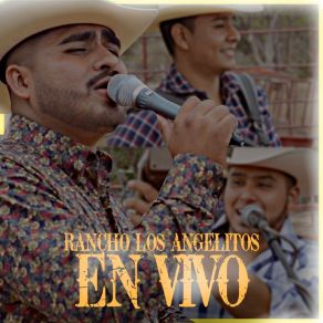 Download track Poquito A Poco (En Vivo) Soto