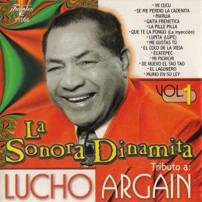 Download track Lupita (Lupe) (Lucho Argain) La Sonora Dinamita