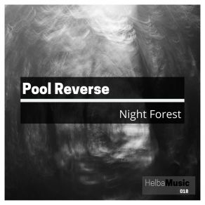 Download track Night Forest Pool Reverse