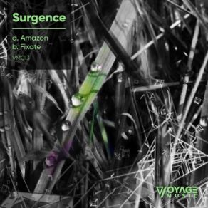 Download track Fixate Surgence