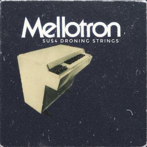 Download track Csus4 Mellotron Droning Strings Music Skillz Backing Tracks