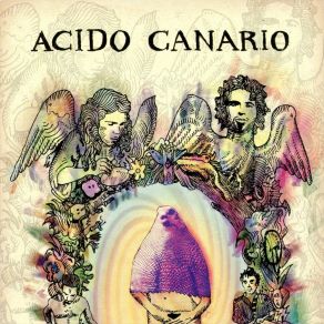 Download track Cadena Acido Canario