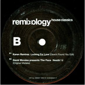 Download track Looking For Love (Dave'S Found You Edit) Karen Ramirez, Dave Sears