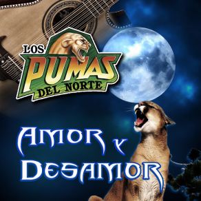 Download track Como Me Has Pagado Mas Los Pumas Del Norte