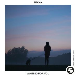 Download track Waiting For You (Extended Mix) Pekka