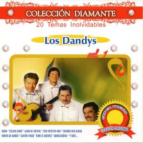 Download track Dime Di Quieres Los Dandys