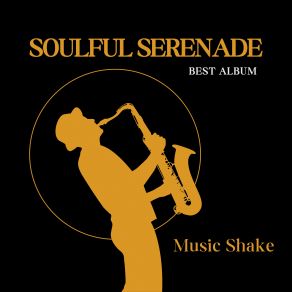 Download track Stardust Serenade Shake Music