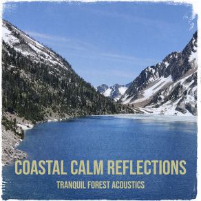 Download track Coastal Calm Reflections Tranquil Forest Acoustics