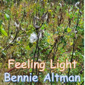 Download track Under A New Moon Bennie Altman