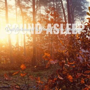 Download track Dusk Ambience At The Black Forest In Germany, Pt. 2 Elijah Wagner