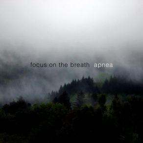 Download track Orion Belt Focus On The Breath