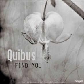 Download track Find You (Sounom & Sagou Remix) Quibus