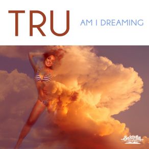 Download track Am I Dreaming (Instrumental) Butch IngramΟΡΓΑΝΙΚΟ