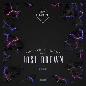 Download track Want 2 Josh Brown