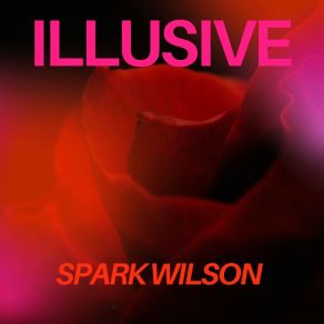 Download track All I Wanna Be Wilson Spark