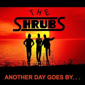 Download track A Million Miles Away The Shrubs