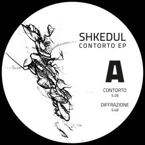 Download track Contorto Shkedul