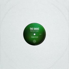 Download track The Snake (Icr Remix) Memorie Cluster