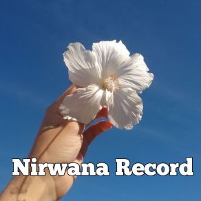 Download track Naughty Nirwana Record