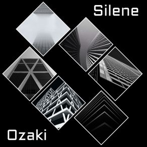 Download track Yokota Silene