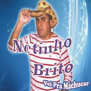 Download track Veio Pra Machucar Netinho Brito