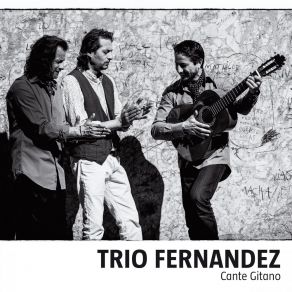 Download track Fin De Fiesta Trio Fernandez