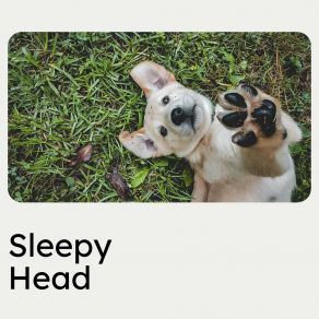 Download track Calming Music For Stressed Dogs, Pt. 8 Dog Sleep Dreams